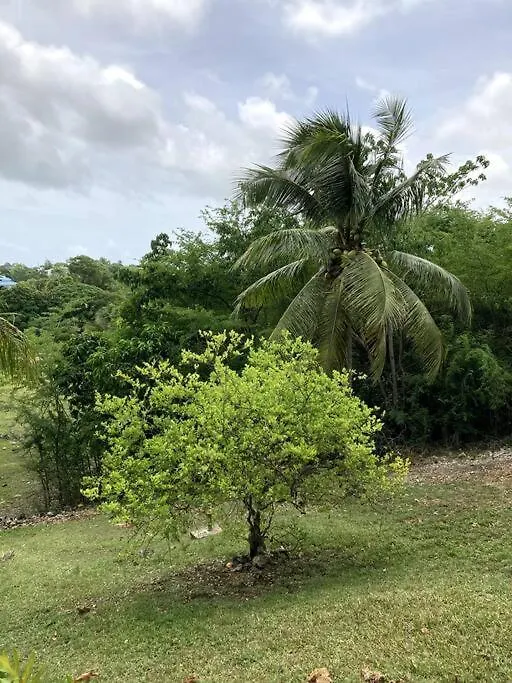 L'Oranger Paisible- T2 Bas De Villa Sainte-Anne  Apartamento Sainte-Anne (Grande-Terre)